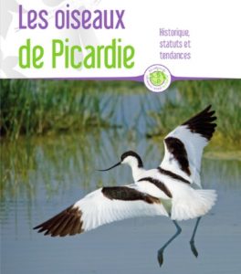 oiseaux picardie
