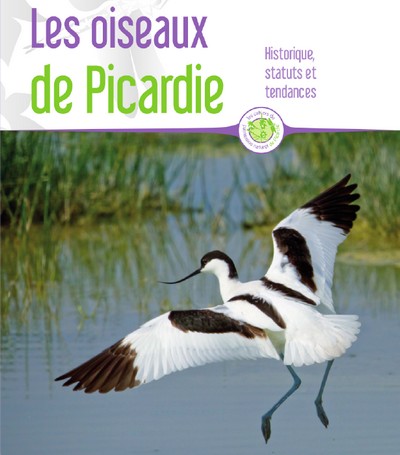 oiseaux picardie