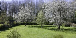 jardin