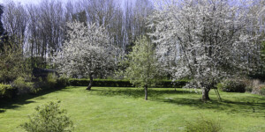 jardin