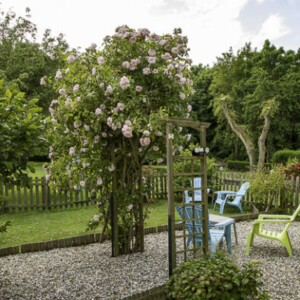 jardin