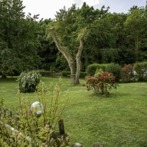 jardin