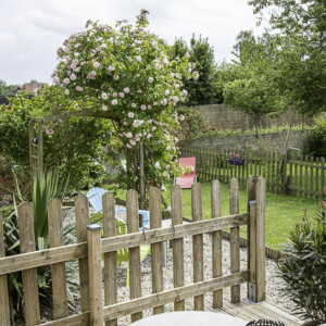 jardin